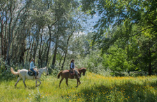 Uruguay-Uruguay-Unforgettable Uruguay Ride